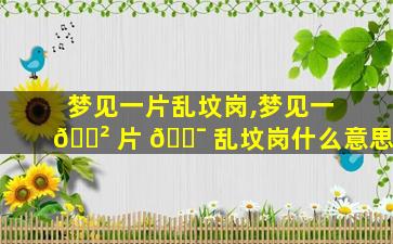 梦见一片乱坟岗,梦见一 🌲 片 🐯 乱坟岗什么意思